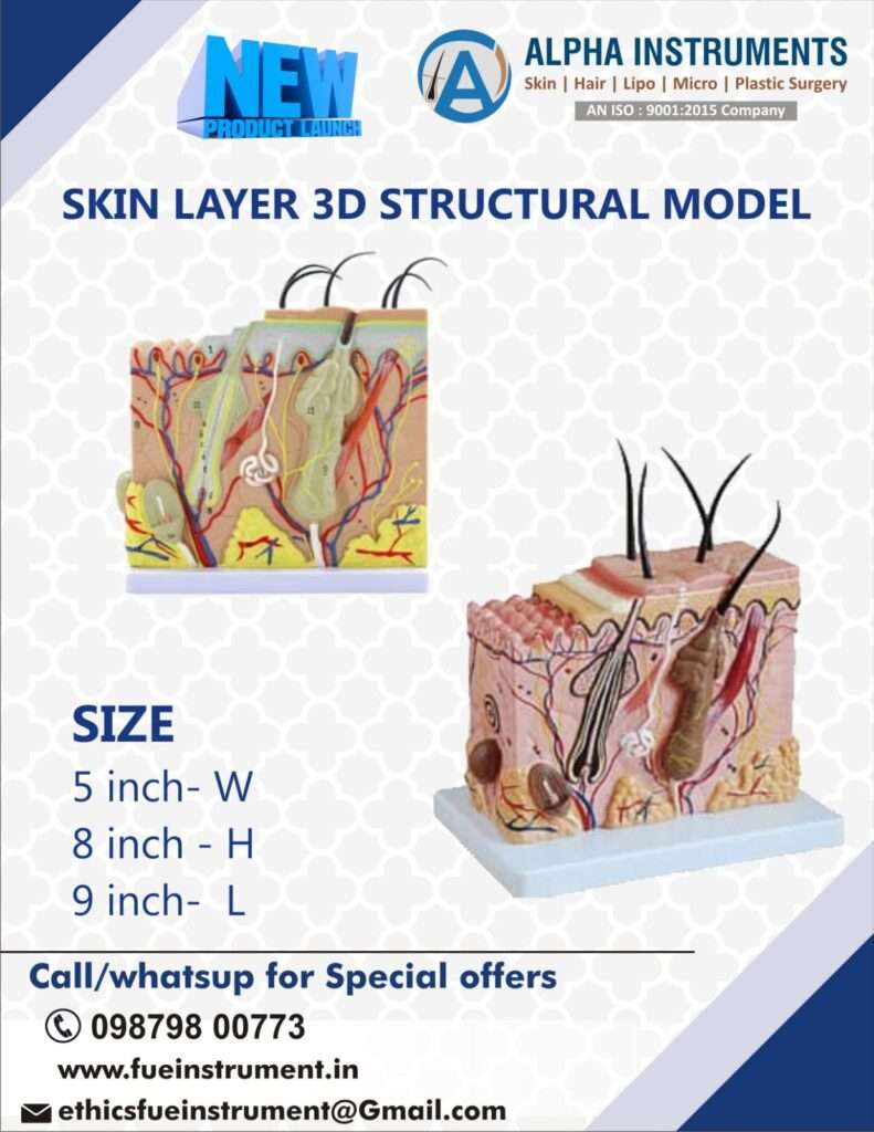 A detailed 3D illustration of the human skin's epidermis, dermis, and hypodermis. Alpha Surgicals - Dedicated to healthy skin, from the outside in.